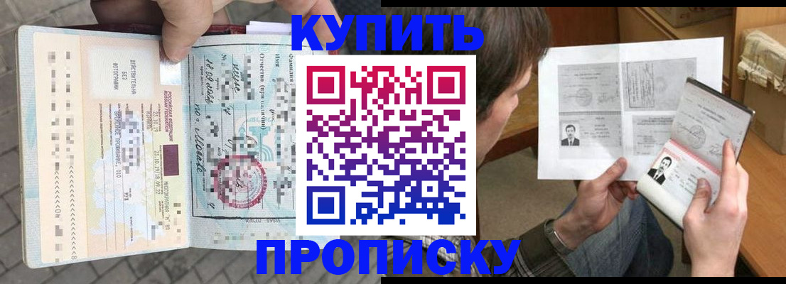 временная регистрация 2025 в Елизово